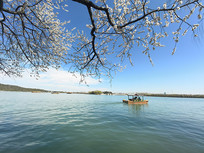 �����ú�԰������ʮ�߿���