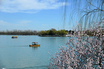 �����ú�԰�������δ�