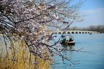 �����ú�԰ʮ�߿���