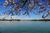 �����ú�԰ʮ�߿���