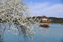 �����ú�԰�δ�