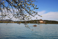 �����ú�԰�δ�������ɽ