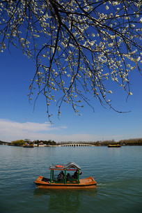 �����ú�԰�δ�ʮ�߿���