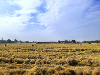 ����æµ����Ӱ