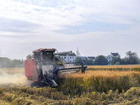 �����ո�