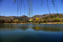 ����ֲ��԰��ɫ