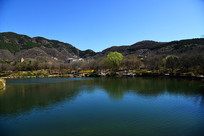 ����ֲ��԰��ɫ