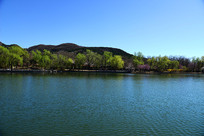 ����ֲ��԰��ɫ