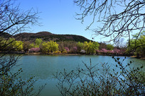 ����ֲ��԰��ɫ