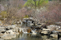 ����ֲ��԰СϪ�ٲ�Ⱥ