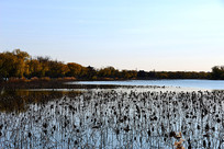 �ʼ�԰���ú�԰�к�