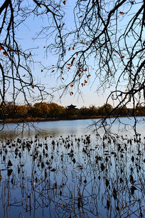 �ʼ�԰���ú�԰����к�