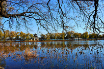 �ʼ�԰���ú�԰����������