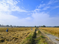 ��ʰ����