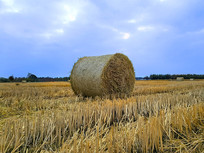 ��ɫ�Ĵ�ݶ�