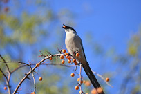 �����µĳ�ɫ��ʵ�����