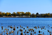 �����µ��ú�԰��ɫ