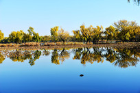 ���˵��ú�԰��ɫ