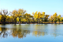 ���˵��ú�԰��ɫ