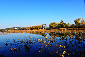 ���˵��ú�԰��ɫ