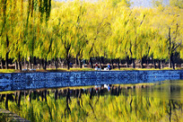 ���˵��ú�԰��ɫ