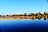 ���˵��ú�԰��ɫ