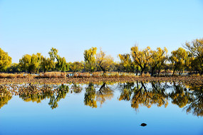 ���˵��ú�԰��ɫ