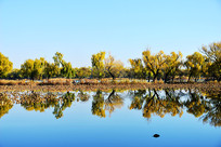 ���˵��ú�԰��ɫ