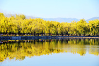 ���˵��ú�԰��ɫ