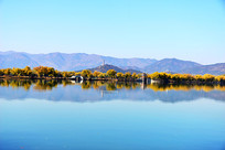 ���˵��ú�԰��ɫ