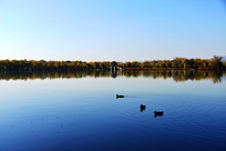 ���˵��ú�԰��ɫ