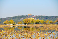 ���˵��ú�԰������ɫ