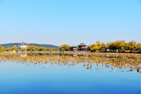 ���˵��ú�԰������ɫ