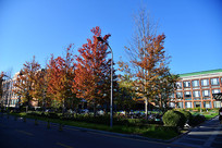 �廪��ѧ�ﾰ