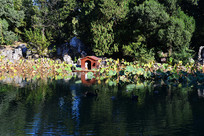 �廪��ѧ�ﾰ