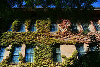 �廪��ѧ�ﾰ