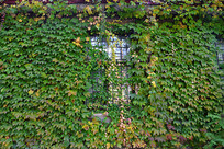 �廪��ѧһ��