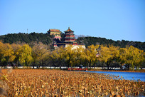 �����ú�԰�����