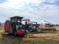 �ո������ո�