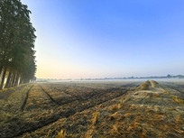 �ո��굾��