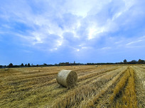 ��Ұ����ݶ�