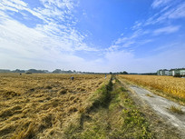 �����ո�