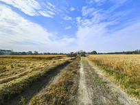 �����ո�æ