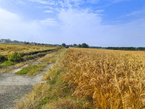 �����ո�ͼ��