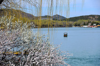 �ú�԰�Ĵ��� 