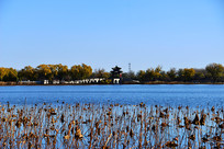 �ú�԰������