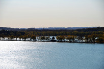 �ú�԰������ɫ