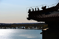 �ú�԰������ɫ