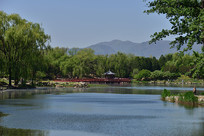 Բ��԰�Ĵ��� 