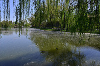 Բ��԰�Ĵ��쾰ɫ